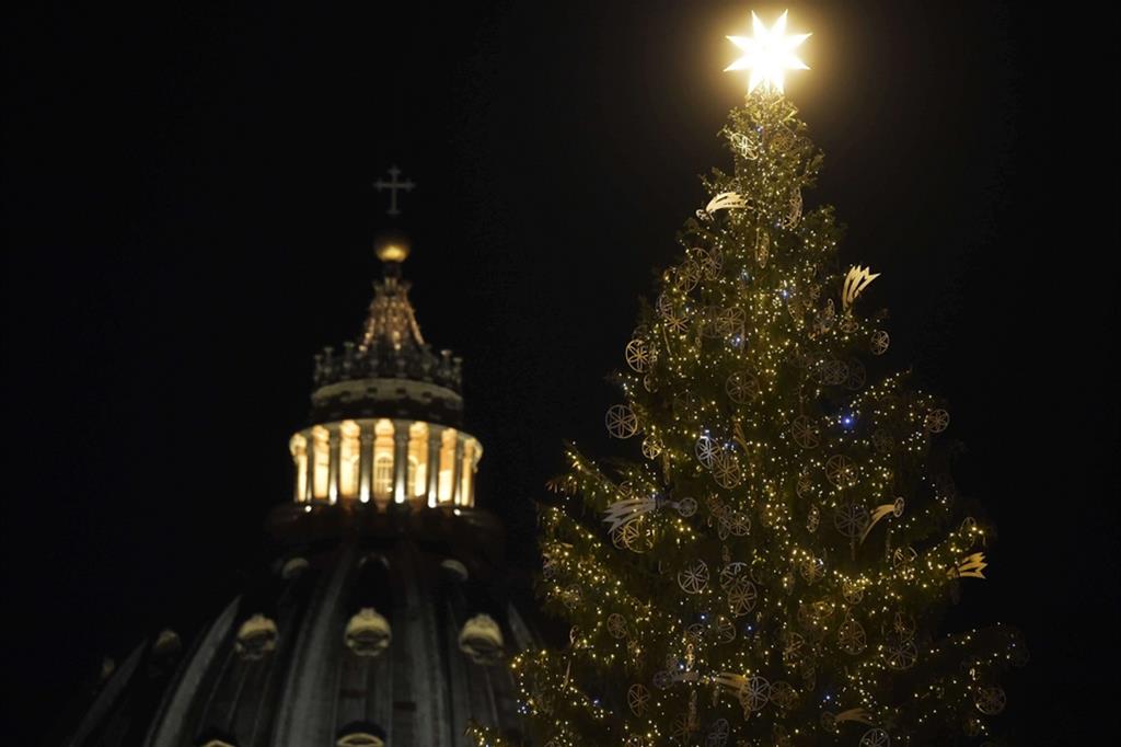 L'albero di Natale in piazza San Pietro