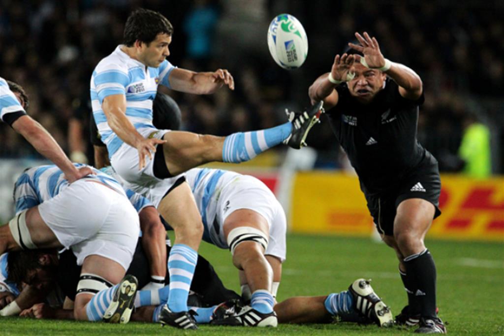 Le macchie dei Pumas: i trionfi e le ombre dell'Argentina del rugby