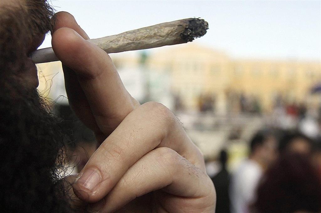LʼOnu sulla cannabis: non è droga pericolosa