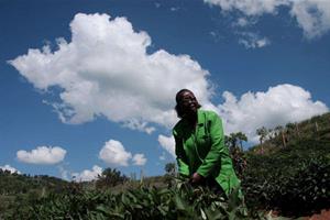 Così i contadini del Kenya vanno a scuola di sostenibilità