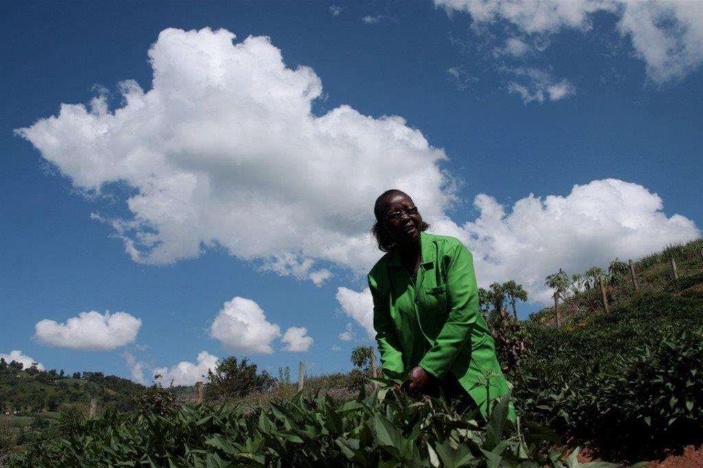 Rosebella Langat nella sua piantagione di caffè in Kenya