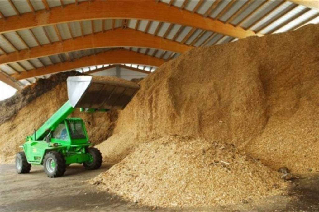 Anche la produzione di energia da biomasse rientra nella filiera della bioeconomia