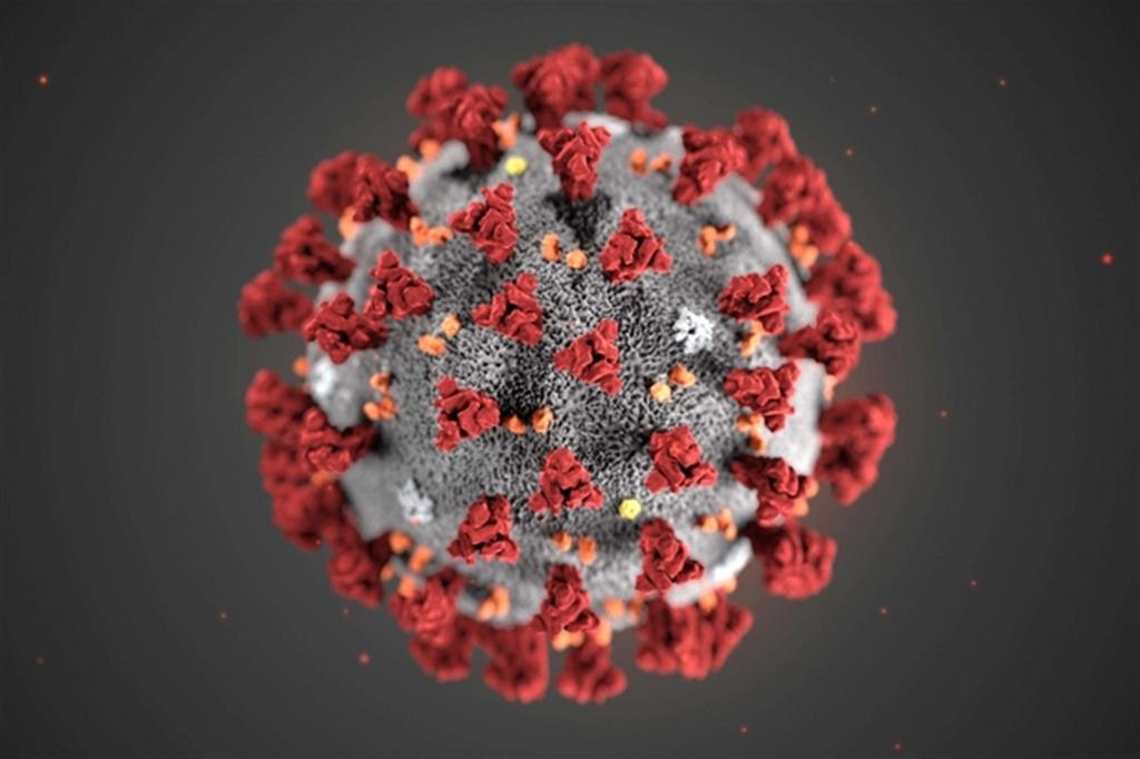 I casi, la mortalità, il contagio: 7 cose da sapere sul coronavirus