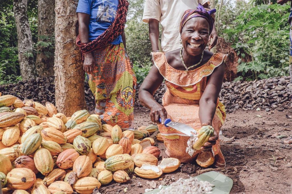 Una donna al lavoro in una piantagione di caffè in Ghana