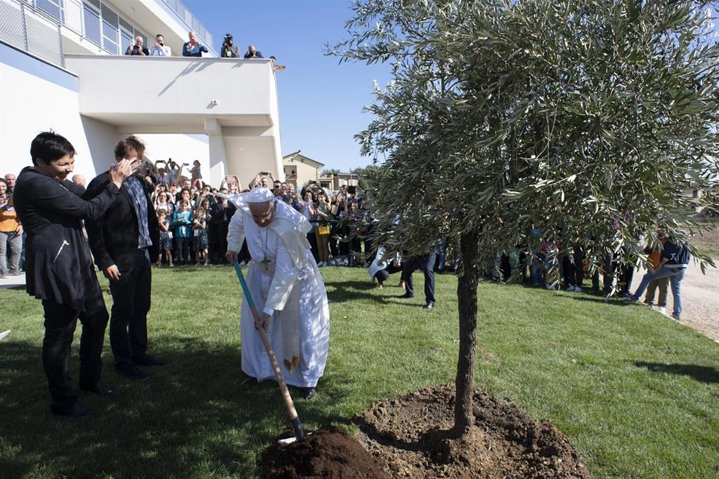 Il Papa pianta un albero a ricordo della sua visita a Nuovi Orizzonti nel settembre 2019