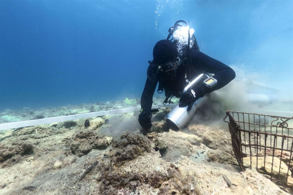 Scavi subacquei nell'insediamento neolitico a Lumbarda, sull'isola di Korčula, in Croatia