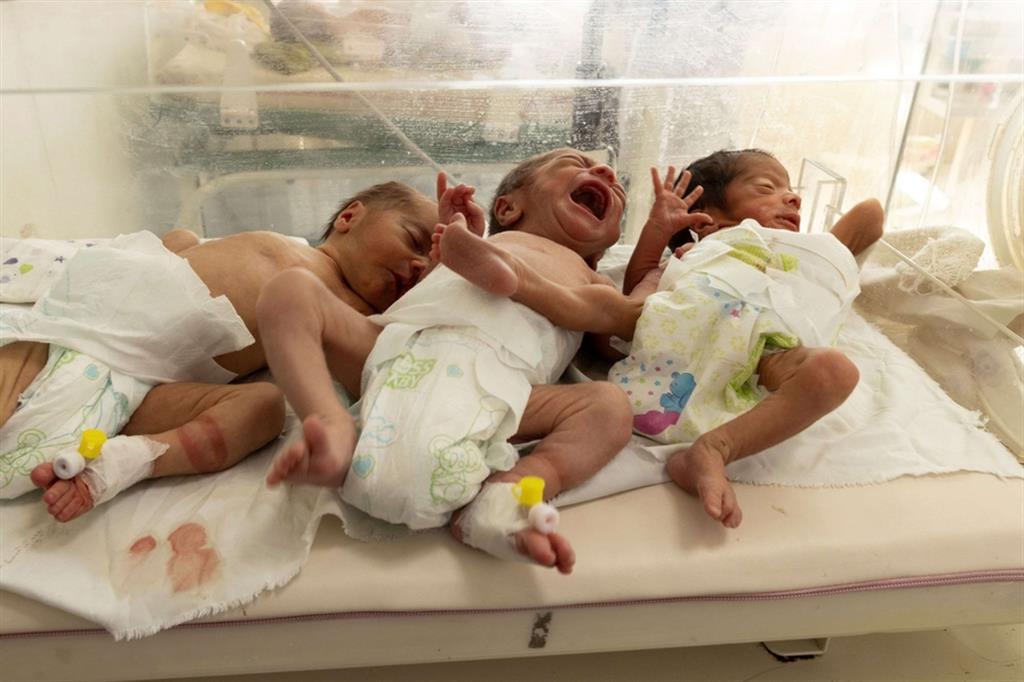 Tre neonati condividono una incubatrice nel reparto di neonatologia all'ospedale Indra Gandhi di Kabul - Reuters