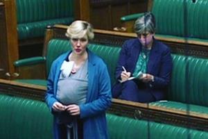 Deputata con il neonato «espulsa» dal Parlamento. Il collega: «Lascialo a casa»
