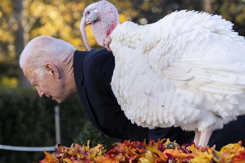 Joe Biden posa scherzosamente per i fotografi imitando il tacchino