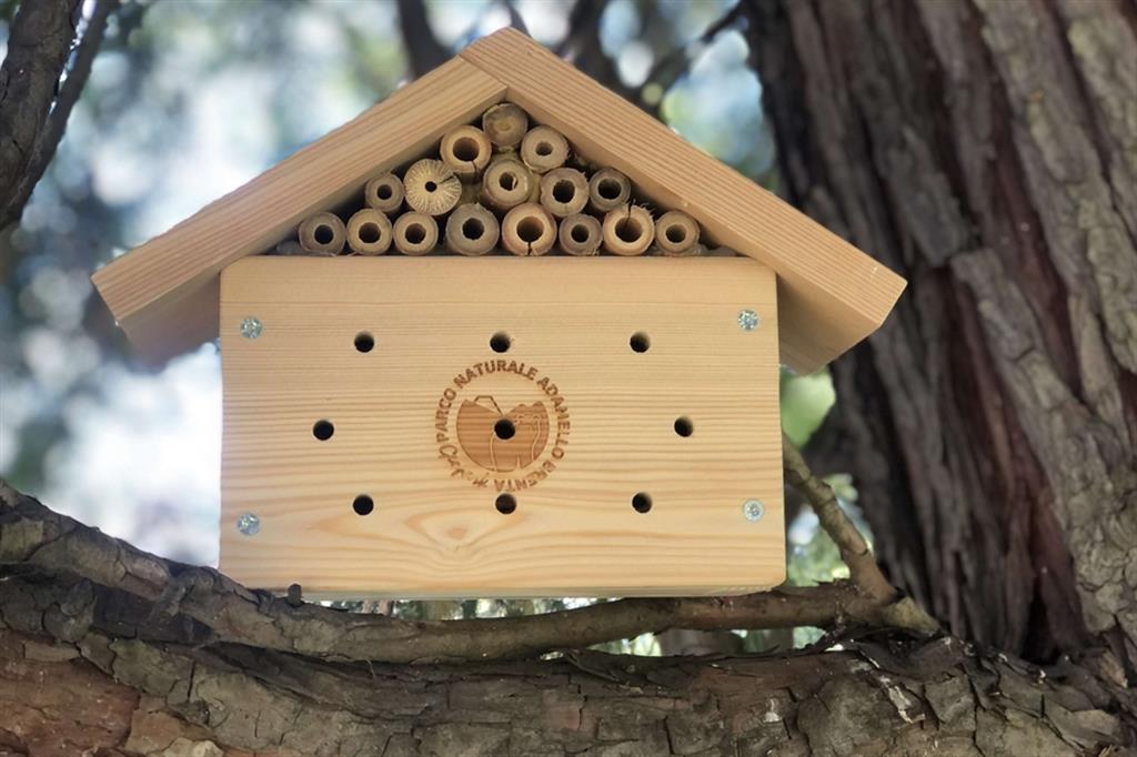 Una delle casette che fanno parte dell'hotel delle api nel Parco dell'Adamello-Brenta