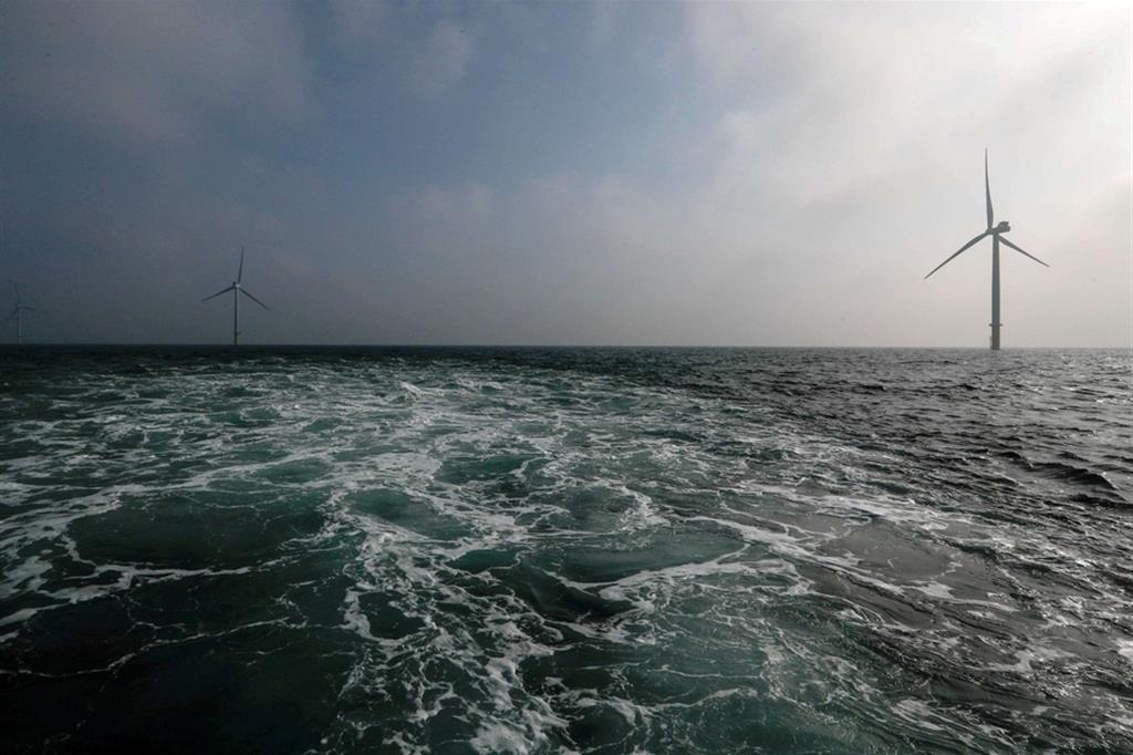 Un campo eolico offshore al largo delle coste dei Paesi Bassi