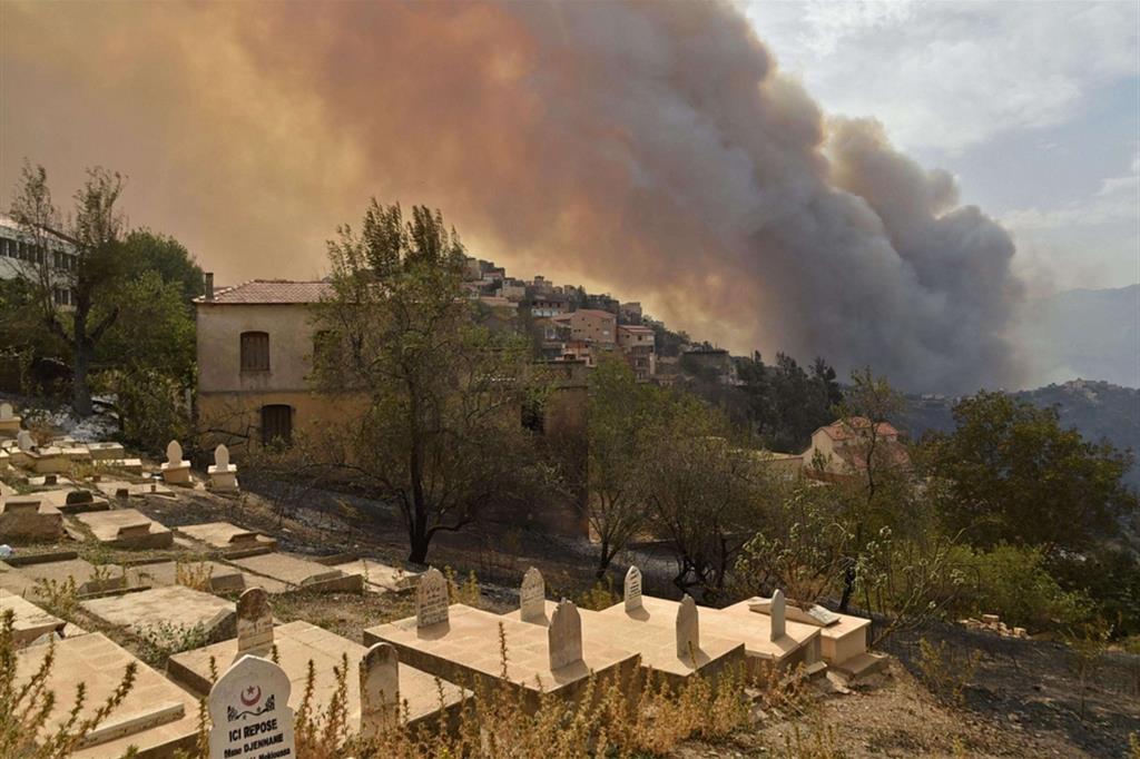 Grecia, Turchia, Italia e California: la Terra continua bruciare