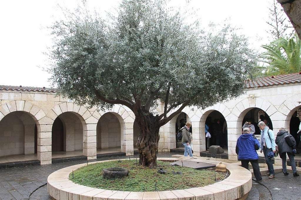 La chiesa della Moltiplicazione dei pani a Tabgha, in Israele, legata ai Benedettini,in una foto d'archivio
