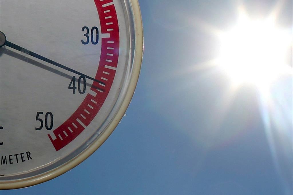 Un anno troppo caldo: 2020 da record