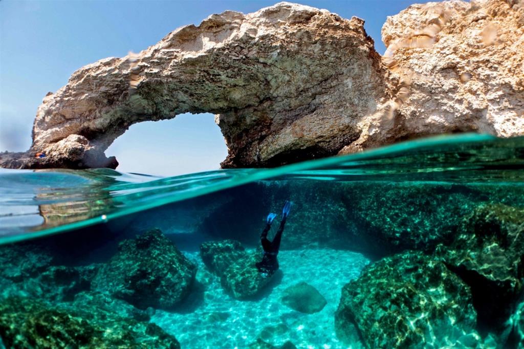 Un biologo marino ispeziona i coralli vicino alla costa Ayla Napa a Cipro