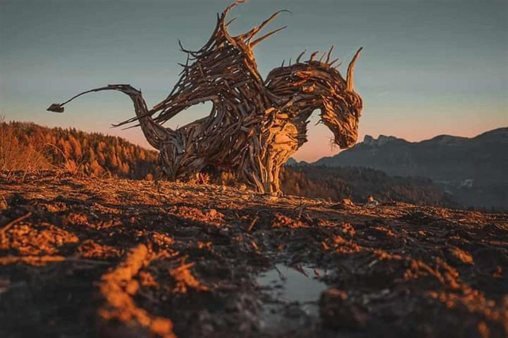 Sull'Alpe Cimbra nasce un Drago dalle foreste distrutte