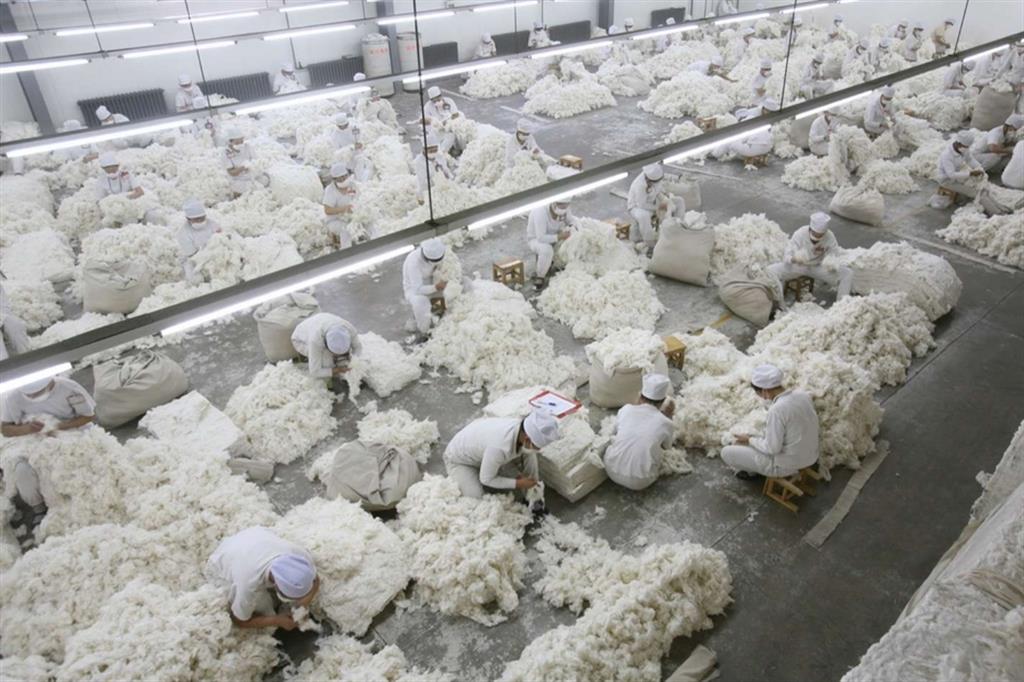 Uno stabilimento di produzione del cotone in Cina