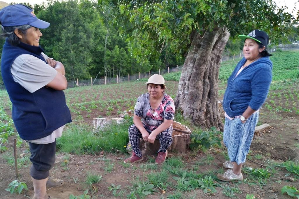 Tre donne Mapuche al lavoro nell'orto sociale di Malalhue