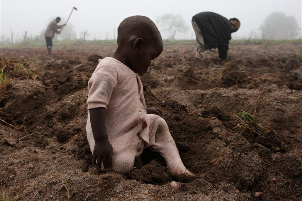 Clima, entro il 2050 otto Paesi africani senza raccolti