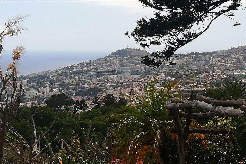 Panorama della città di Funchal dall’Orto Botanico