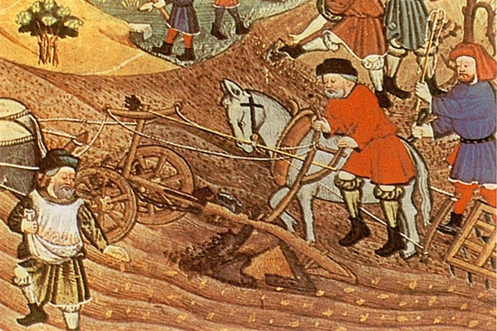 Le attività dei contadini del Medioevo illustrate in una miniatura