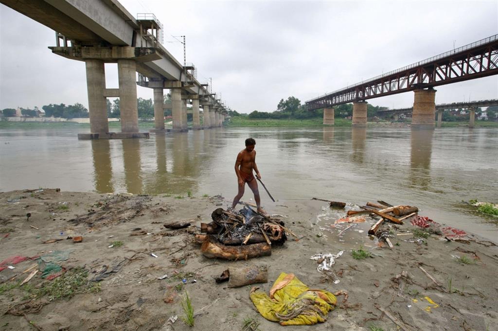 Un dipendente pubblico recupera i cadaveri dal Gange per bruciarli. È impossibile sapere quanti siano realmente i morti per Covid nel subcontinente