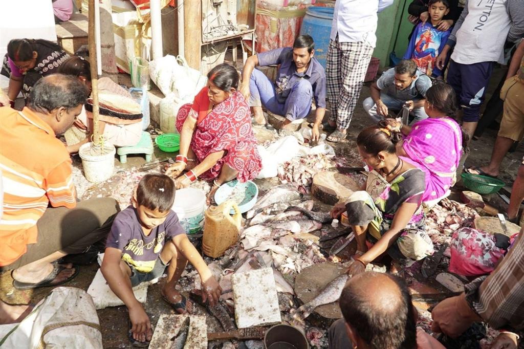 Condizioni igieniche terribili, bambini costretti per ore a lavorare per uccidere i pesci: sono gli allevamenti intensivi in India