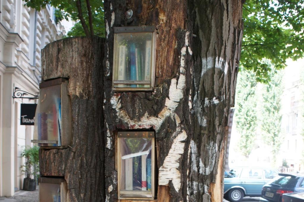 In una strada di Berlino, le cavità di un albero secolare ospitano i libri da leggere. Le antine realizzate con teli di plastica li riparano dalle intemperie - Alessandra Cattanei