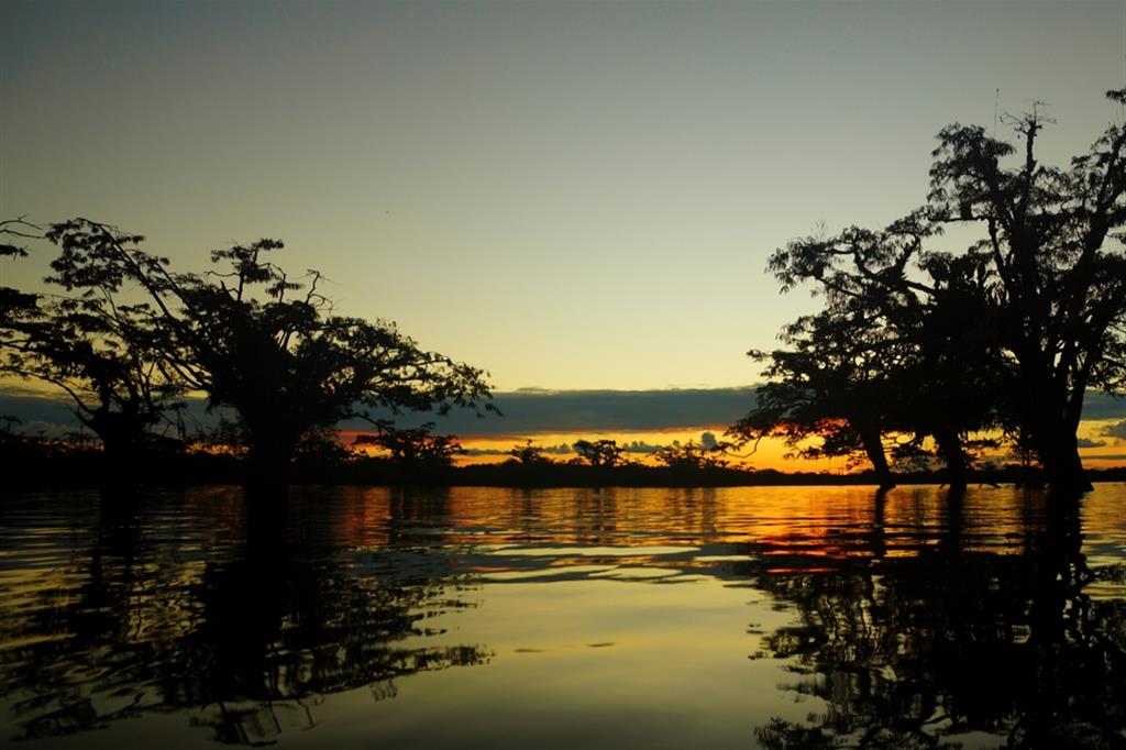 Tramonto sulla laguna Cuyabeno nell'Amazzonia ecuadoriana