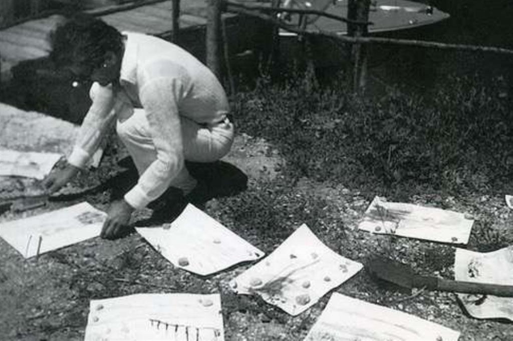 Pier Paolo Pasolini a Grado nel 1970 mentre dispone ad asciugare i disegni appena realizzati