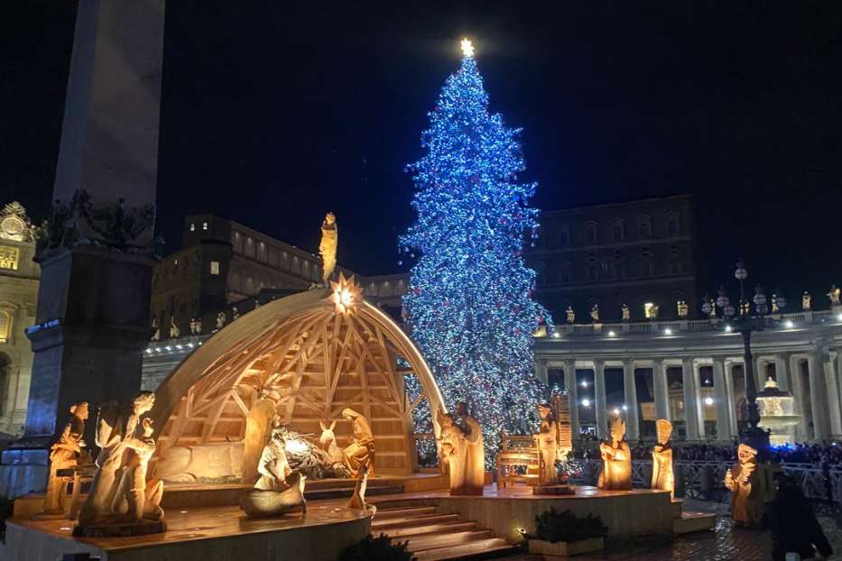 Il presepe e l’albero di Natale allestiti quest’anno in piazza San Pietro. Sono stati inaugurati sabato sera con la accensione delle luci
