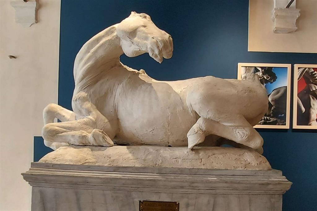 Un gesso di Canova, "Cavallo morente" esposto al Museo Bailo a Treviso