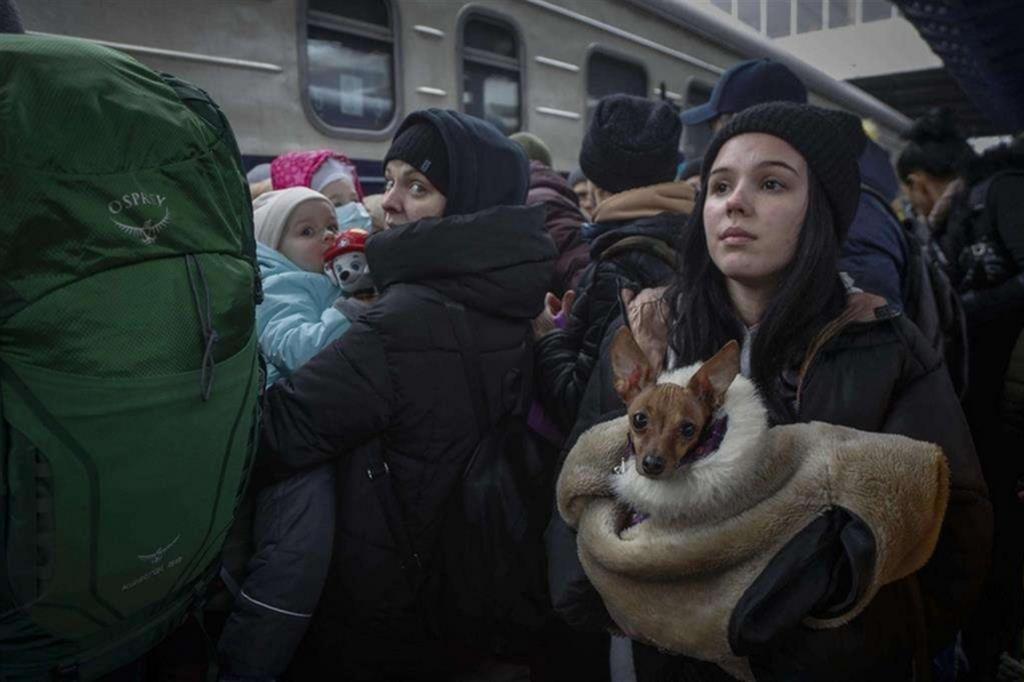 I profughi lasciano Kiev in treno. Tenendosi ben stretti i loro animali