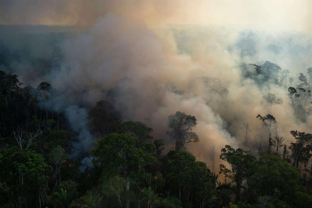 La devastazione dell'Amazzonia: gli incendi spesso vengono appiccati per ricavare pascoli per l'allevamento intensivo di bestiame