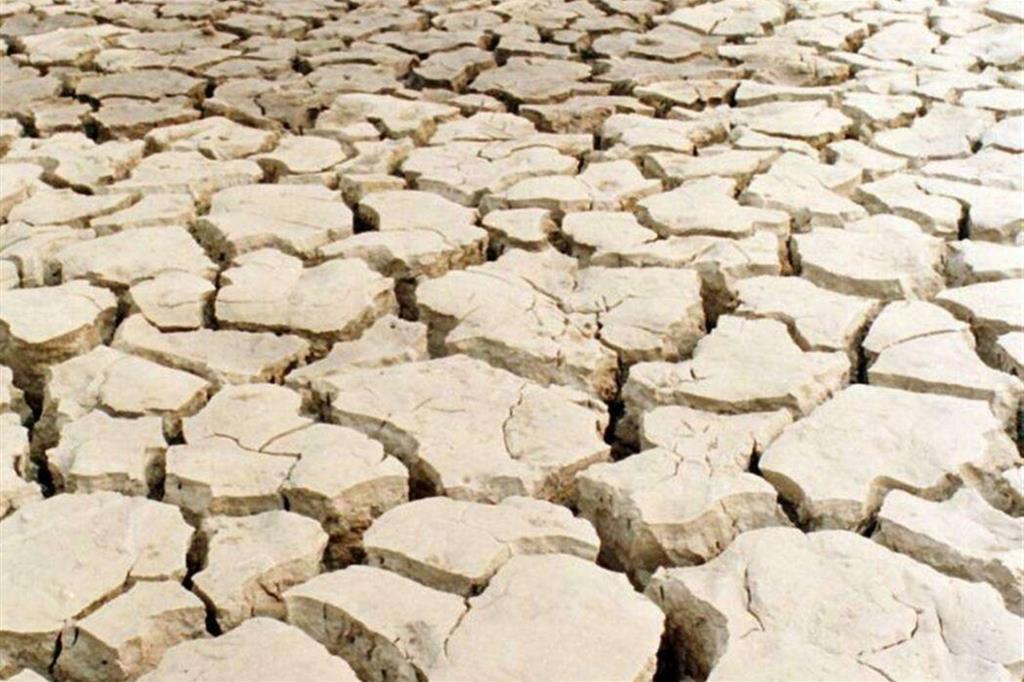 Il Corno d’Africa muore di sete. A rischio 10 milioni di famiglie