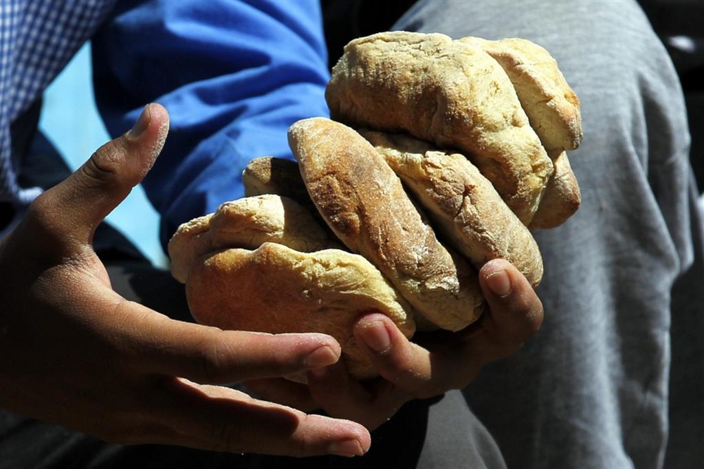 Giornata del Creato, la Cei: torniamo al gusto del pane
