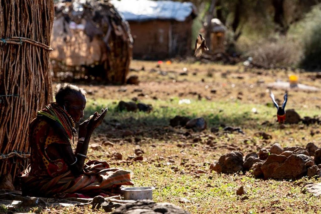 Nawoi, nel villaggio keniano di Nasuroi, ha visto morire di fame il marito e i figli Nella zona è attiva la Fondazione Cesvi con progetti per la sicurezza alimentare Nel Corno d’Africa sono 20 milioni le persone a rischio