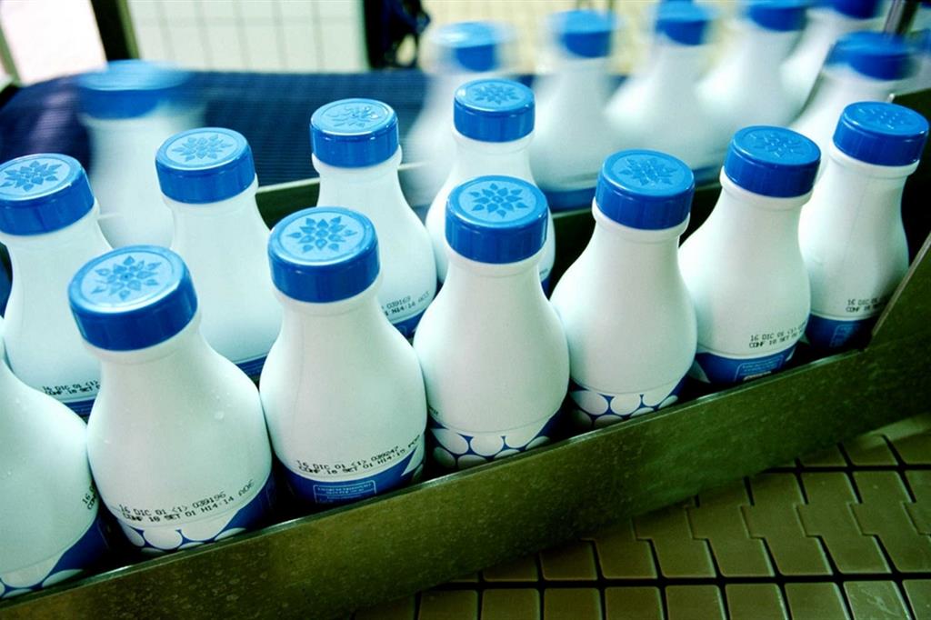 Confezioni di latte lungo una linea produttiva