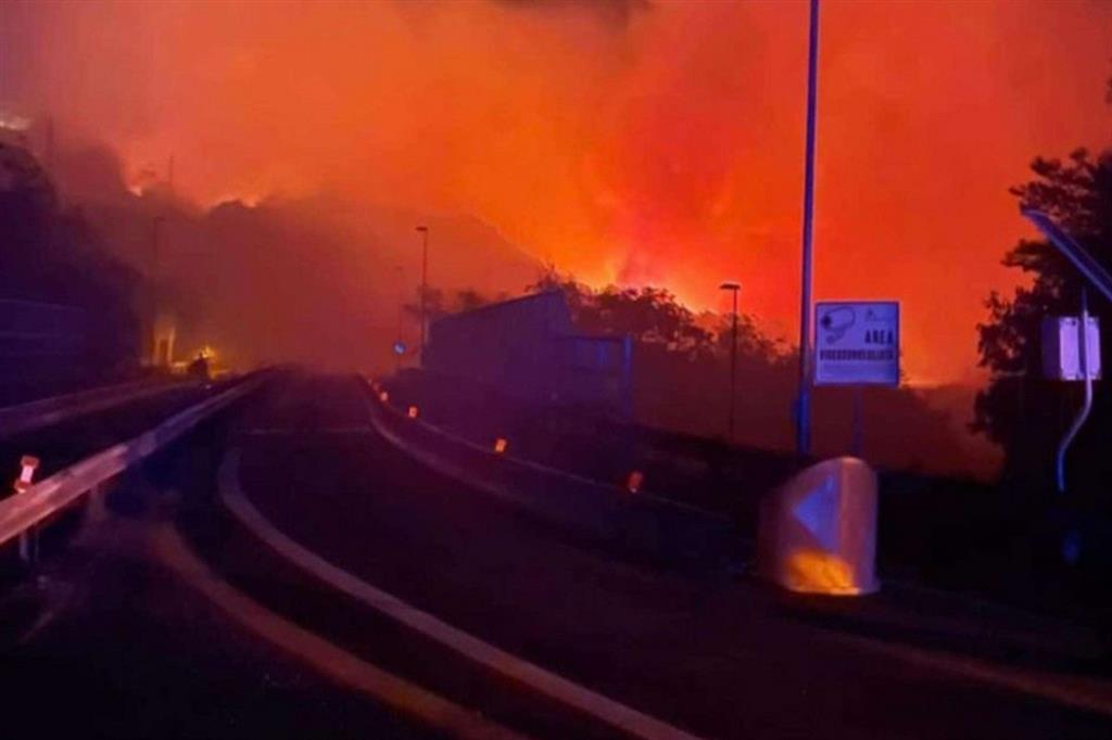L'incendio che minaccia il casello autostradale di Trieste-Lisert