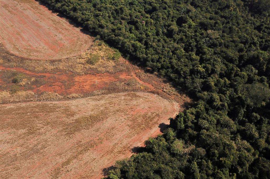 I ricercatori dell'Università del Mato Grosso individuano i segni del cambiamento climatico al confine tra Amazzonia e Cerrado