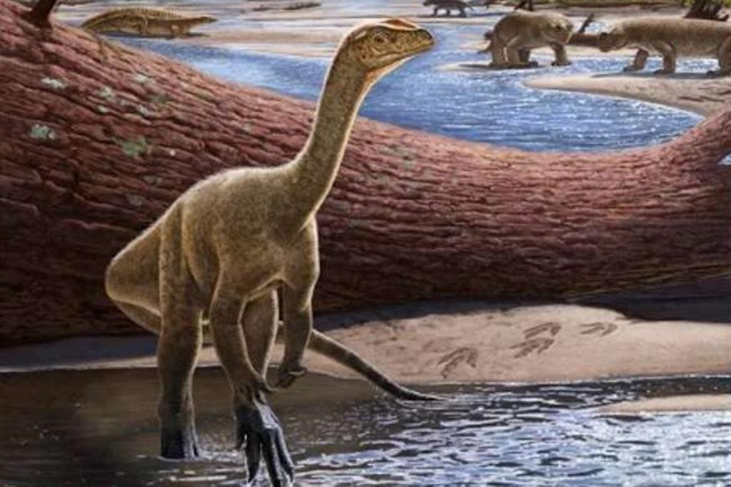 Una ricostruzione artistica del dinosauro "Mbiresaurus raathi"