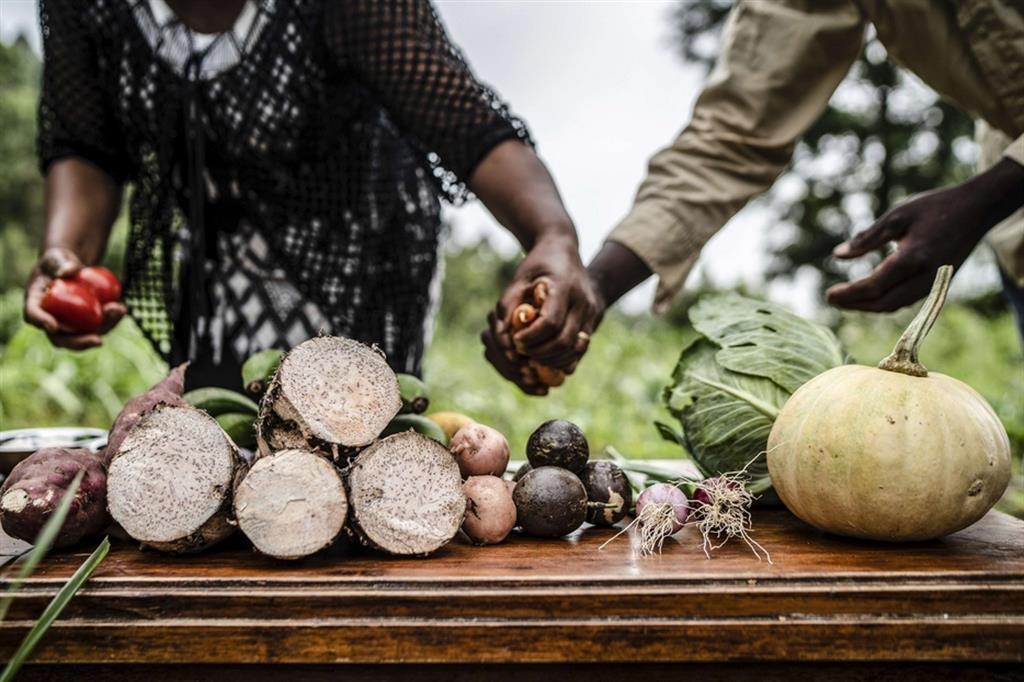 Taita, Kenya: giornata mondiale per la formazione degli agricoltori locali