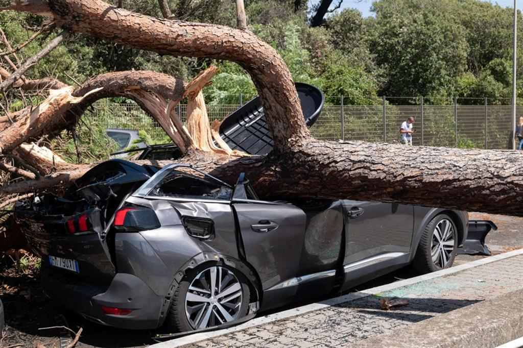 Un'auto distrutta da un albero abbattuto dal vento in Versilia