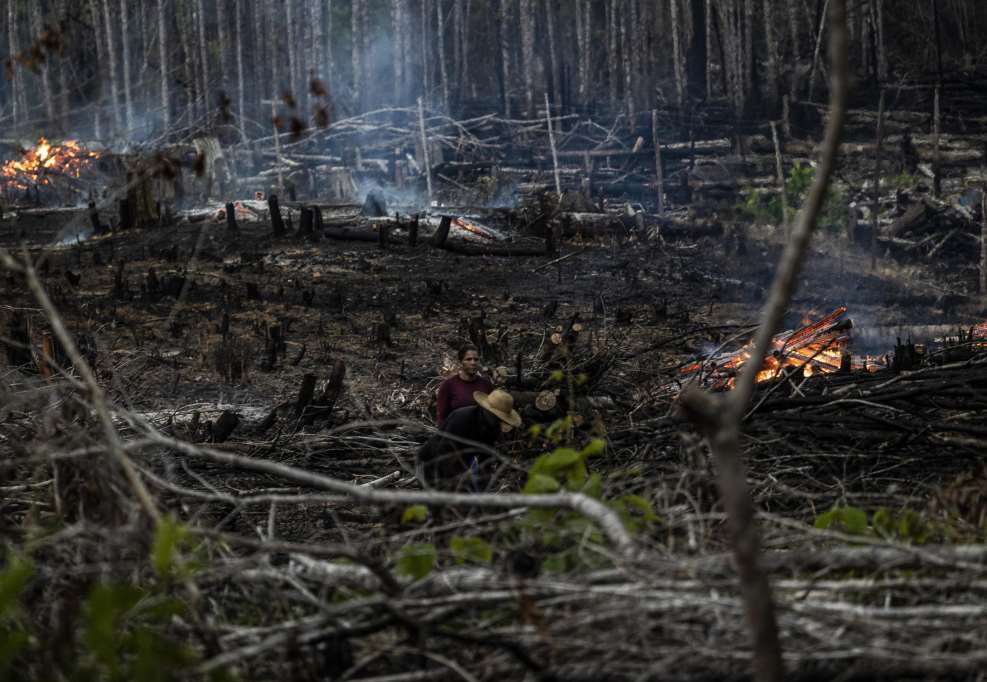 La scorsa estate ha visto un record di incendi in Amazzonia