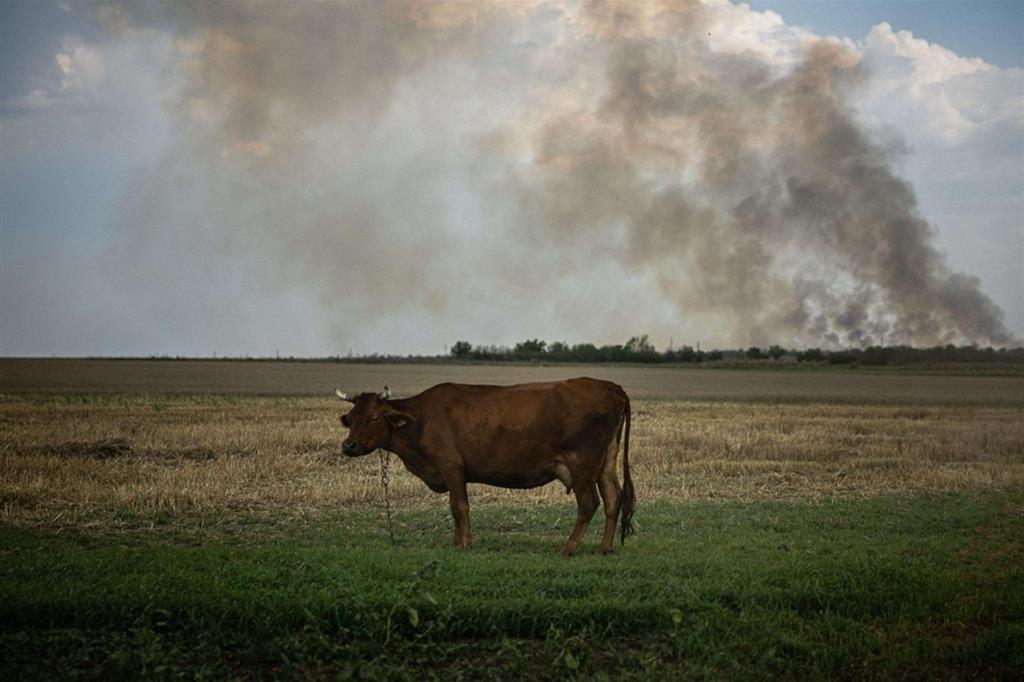Il fumo si alza in lontananza in direzione di Kherson: la città avrebbe subito bombardamenti da parte delle forze di Kiev