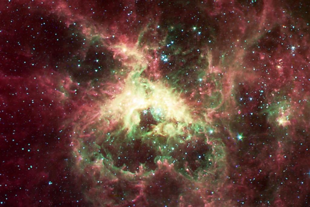 Stelle neonate nella Nebulosa Tarantola