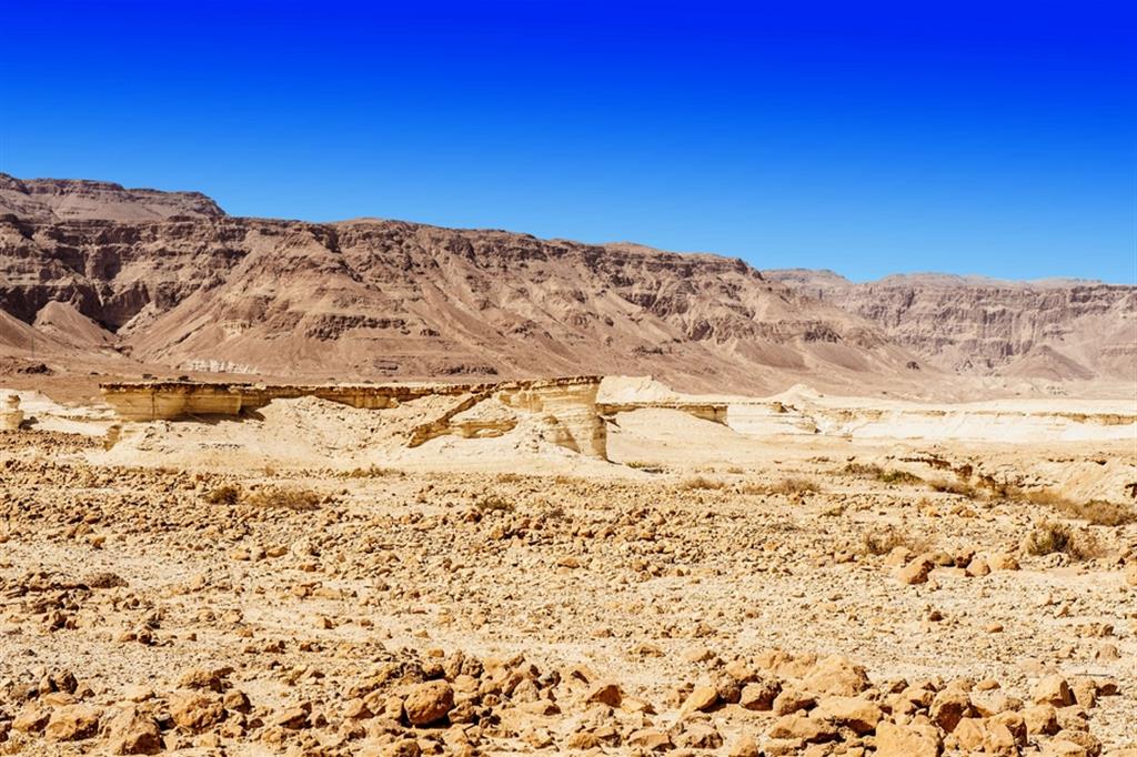 Il deserto del Negev, in Israele