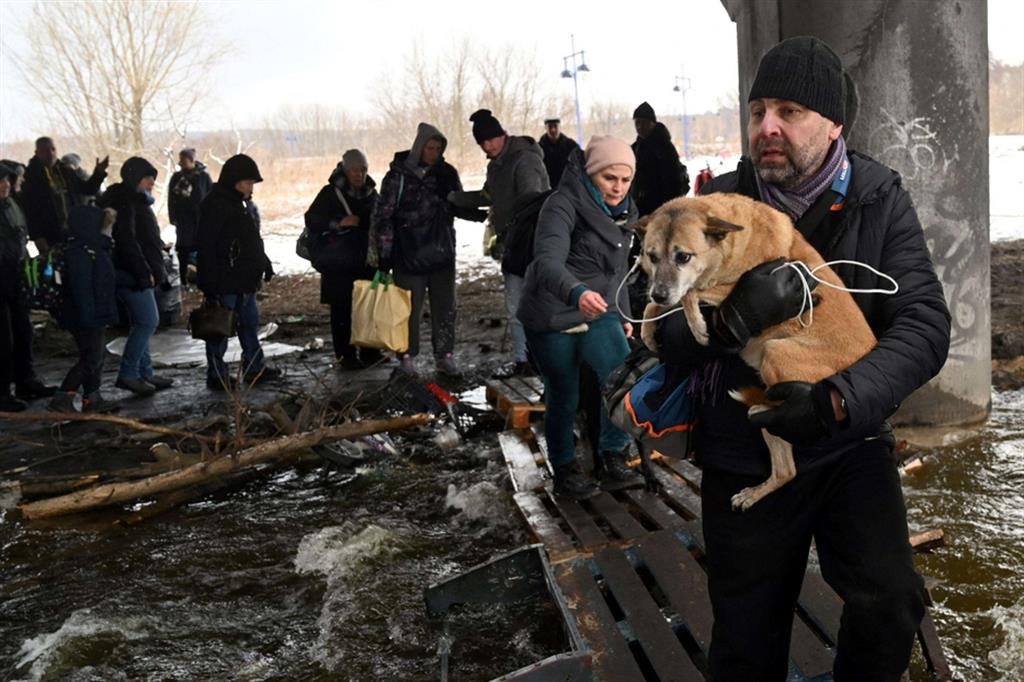 L'evacuazione da Irpin, città nell'Oblast di Kiev massacrata dalle bombe, con il cane tenuto stretto - Ansa