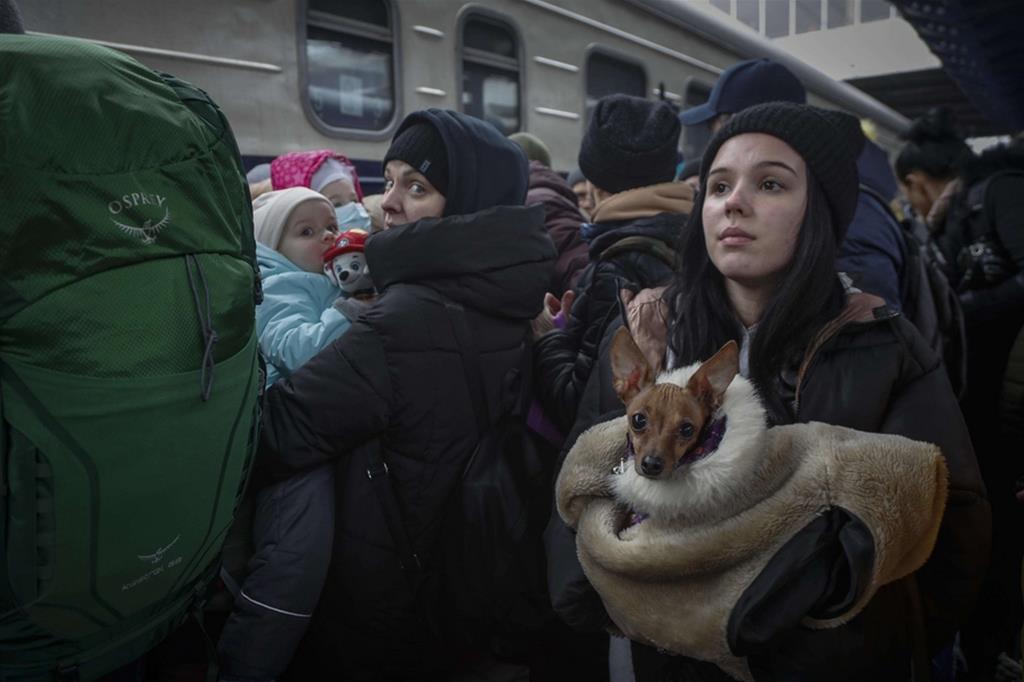 Bambini e cani in braccio attendendo la metropolitana di Kiev per fuggire dall'assedio - Ansa