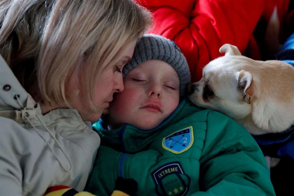 Una mamma fuggita dall'Ucraina con il suo bambino e il suo cane. Hanno trovato riparo in un campo di accoglienza a Beregsurany, in Ungheria - Reuters